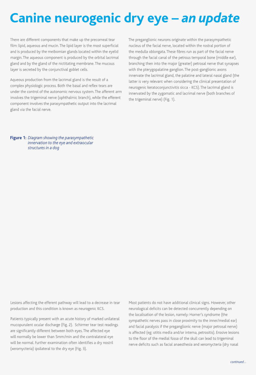 Document, HD Png Download