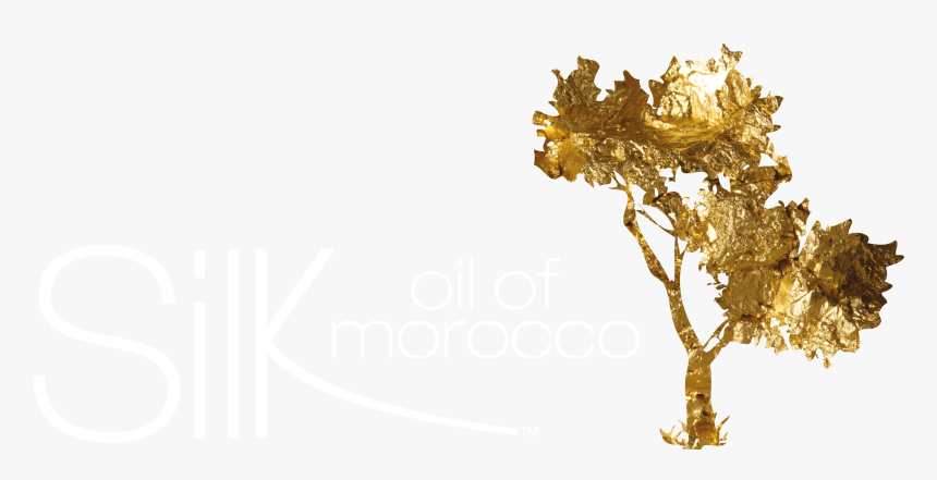 Argan Oil, HD Png Download