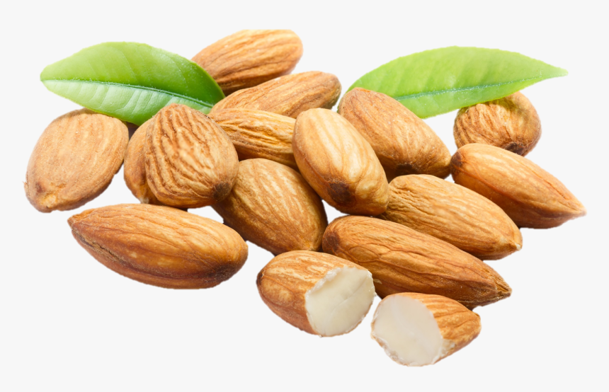 Almonds Png , Png Download - Almond Png, Transparent Png