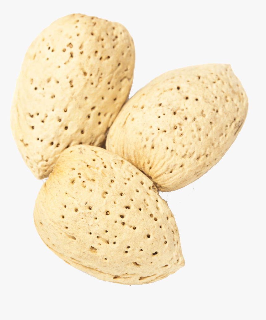 Food, HD Png Download