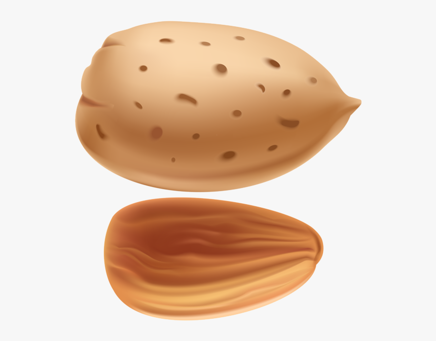 Almond Png Clip Art - Art Almond Png, Transparent Png