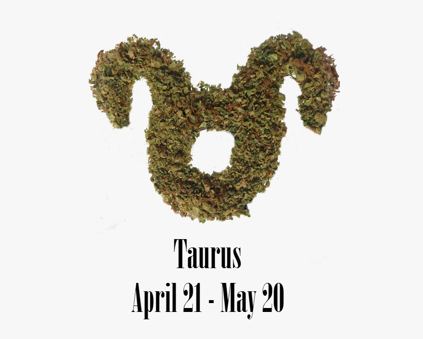Stoner Aries Monthly Horoscope - Poster, HD Png Download