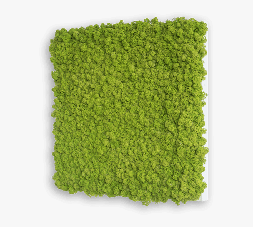 Square Field, HD Png Download