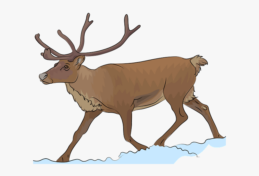 Free Clipart Reindeer, HD Png Download