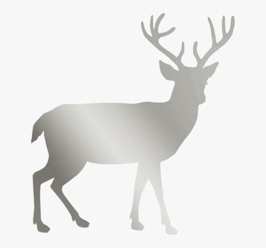 Clip Art Deer Png, Transparent Png
