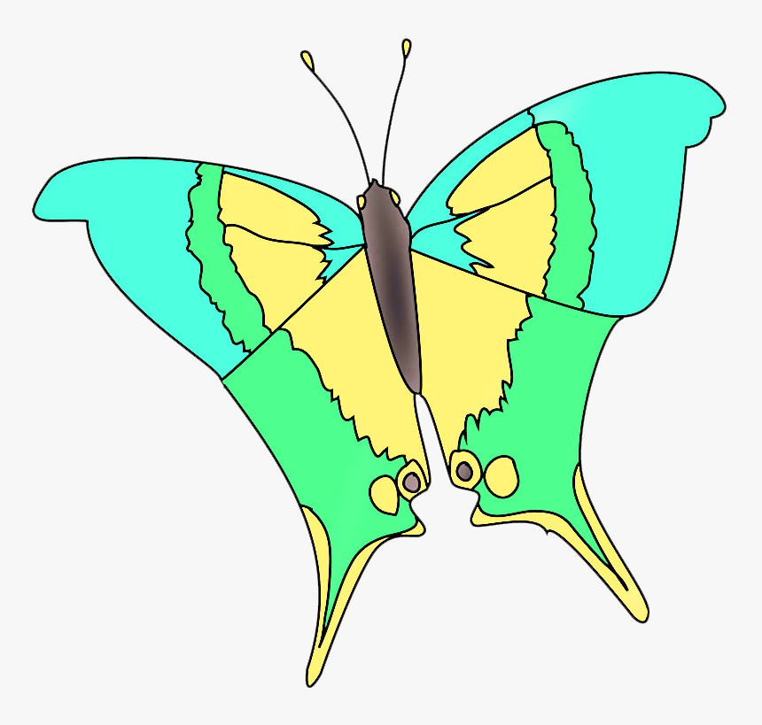 Marpesialole Butterfly Fantasy Colors, HD Png Download