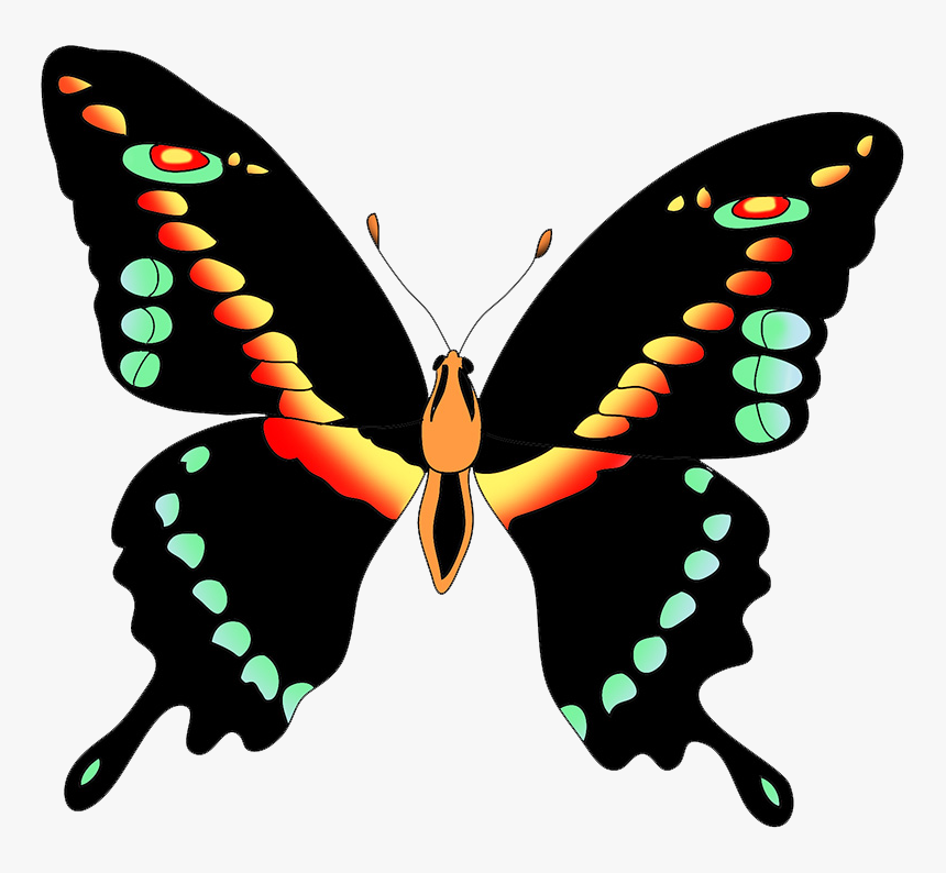 Black Swallow Tail Butterfly Clipart - Colorful Beautiful Butterfly Butterfly Clipart, HD Png Download