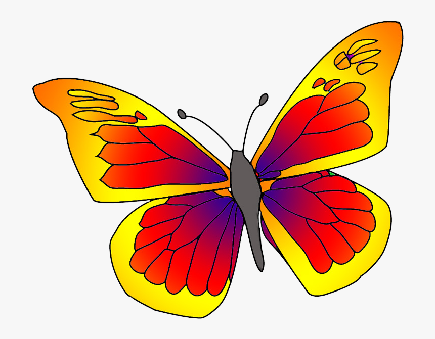 Red Orange Butterfly Clipart - Orange And Red Butterfly, HD Png Download