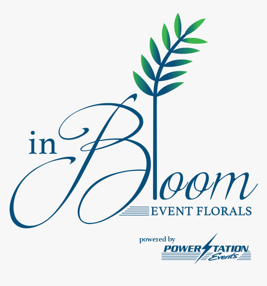 Bonjour Drawing, HD Png Download