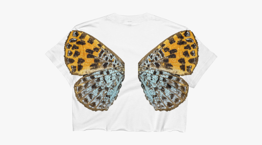 Brush-footed Butterfly, HD Png Download