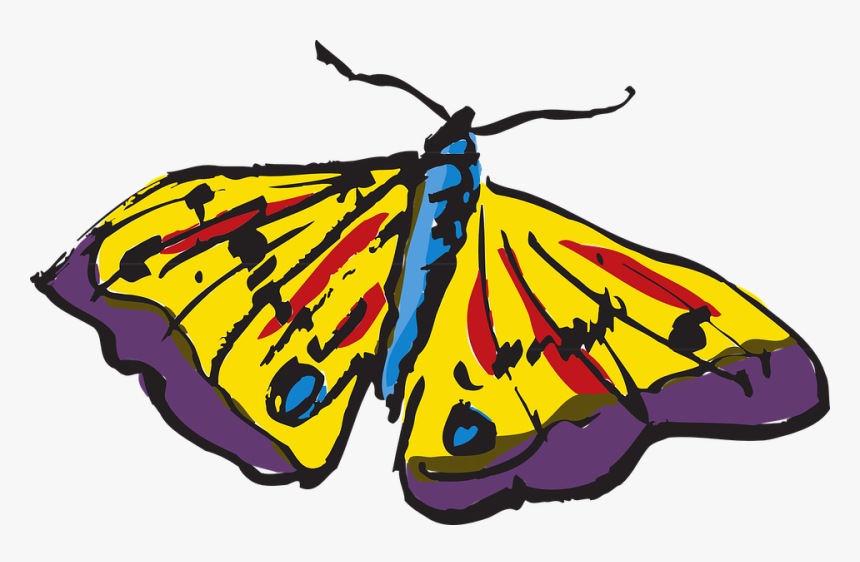 Brush-footed Butterfly, HD Png Download