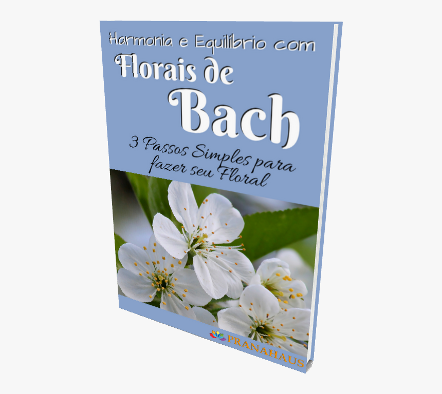 Harmonia E Equilíbrio Com Florais De Bach - Rosa Rubiginosa, HD Png Download