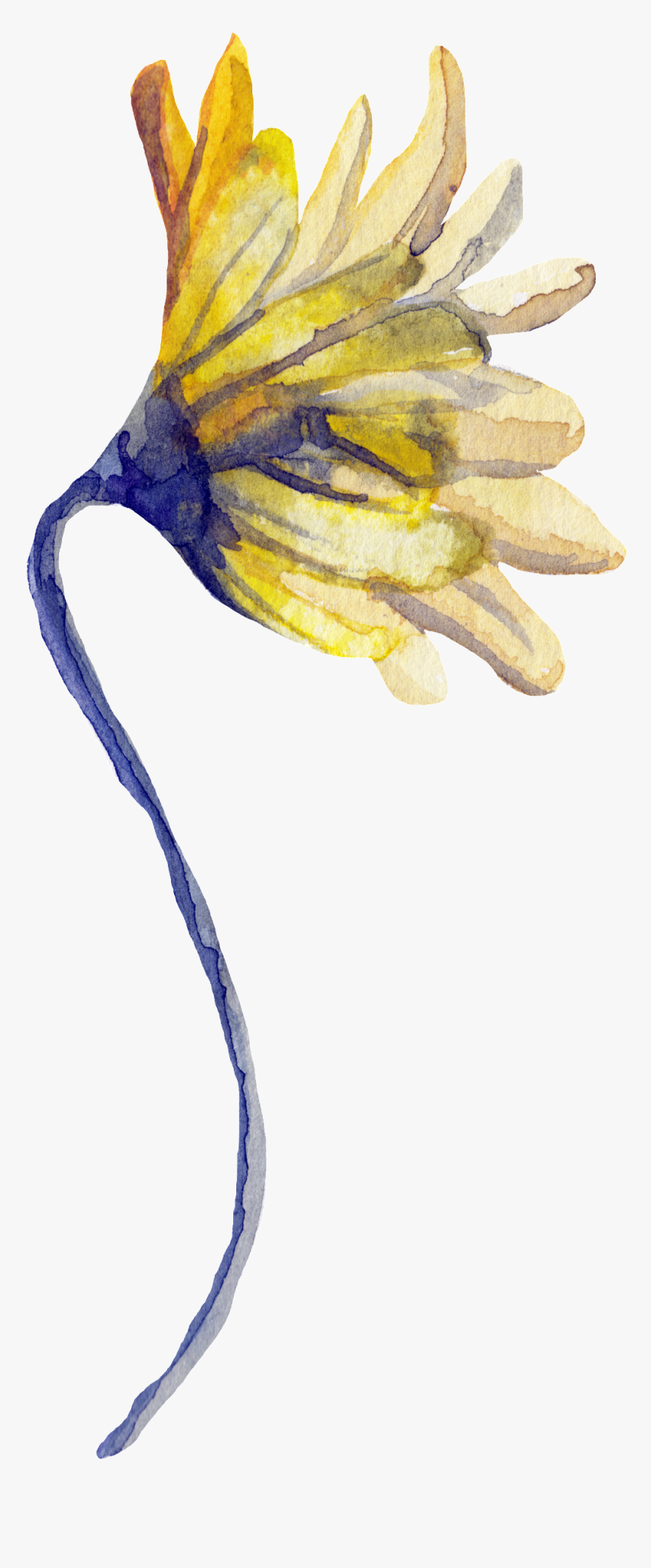 Png De Ornamentação Transparente Para Flores Florais - Sunflower, Png Download
