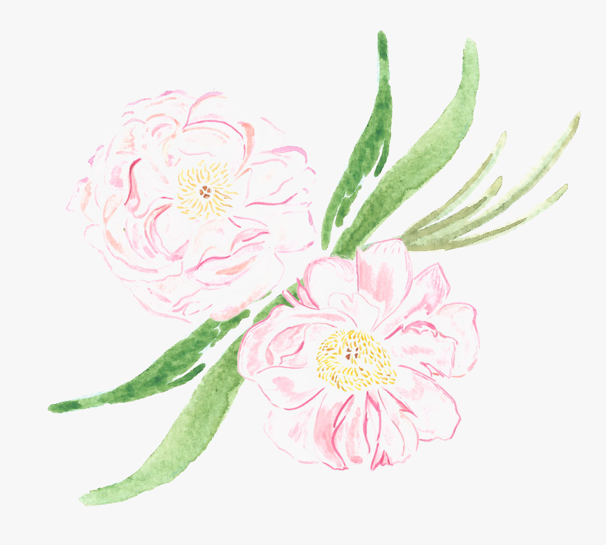 Arranjos Florais Sp - Common Peony, HD Png Download