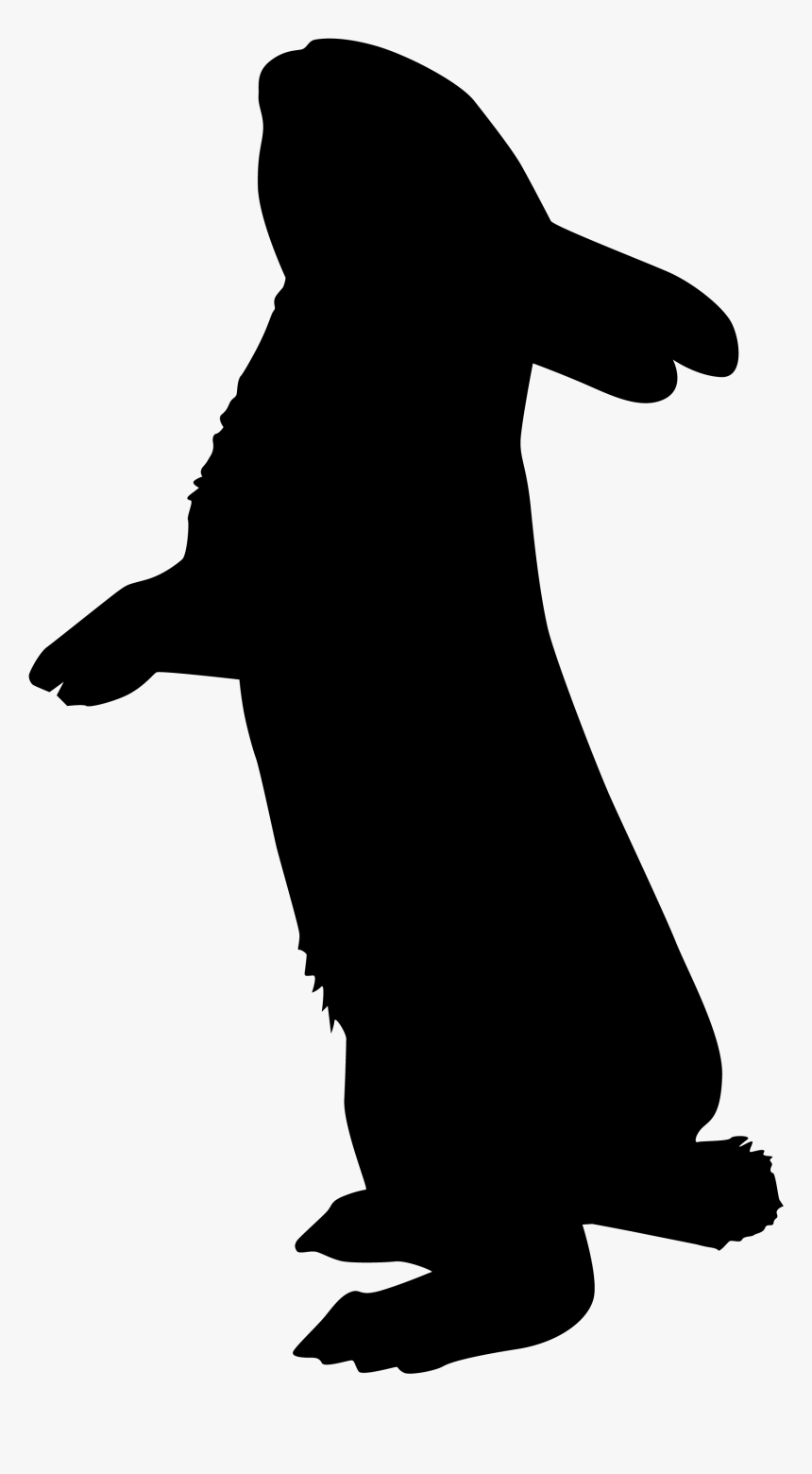 Silhouette Rabbit Photography Clip Art - Silhouette Rabbit, HD Png Download