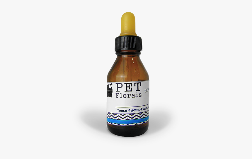Floral Pet Florais, HD Png Download