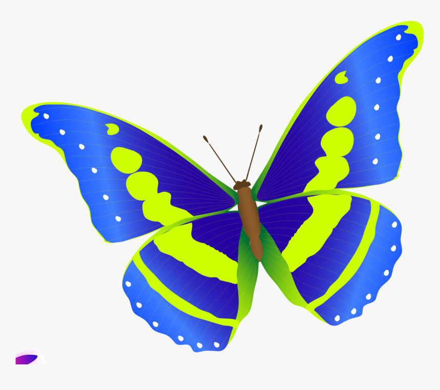 Butterfly Vector Free, HD Png Download