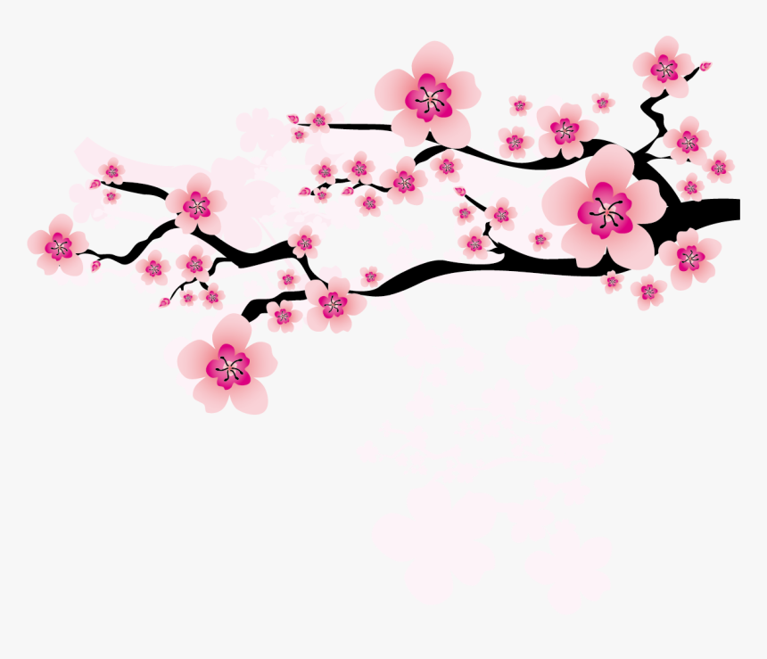 Ume Blossom Clipart Apricot Blossom Apricot Blossom Vector Png