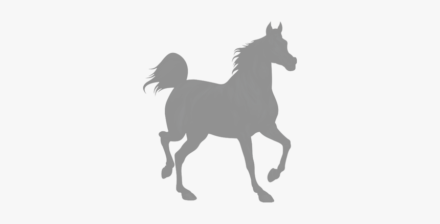 Shire Horse Black Royalty-free Clip Art - Horse Silhouette White Png, Transparent Png
