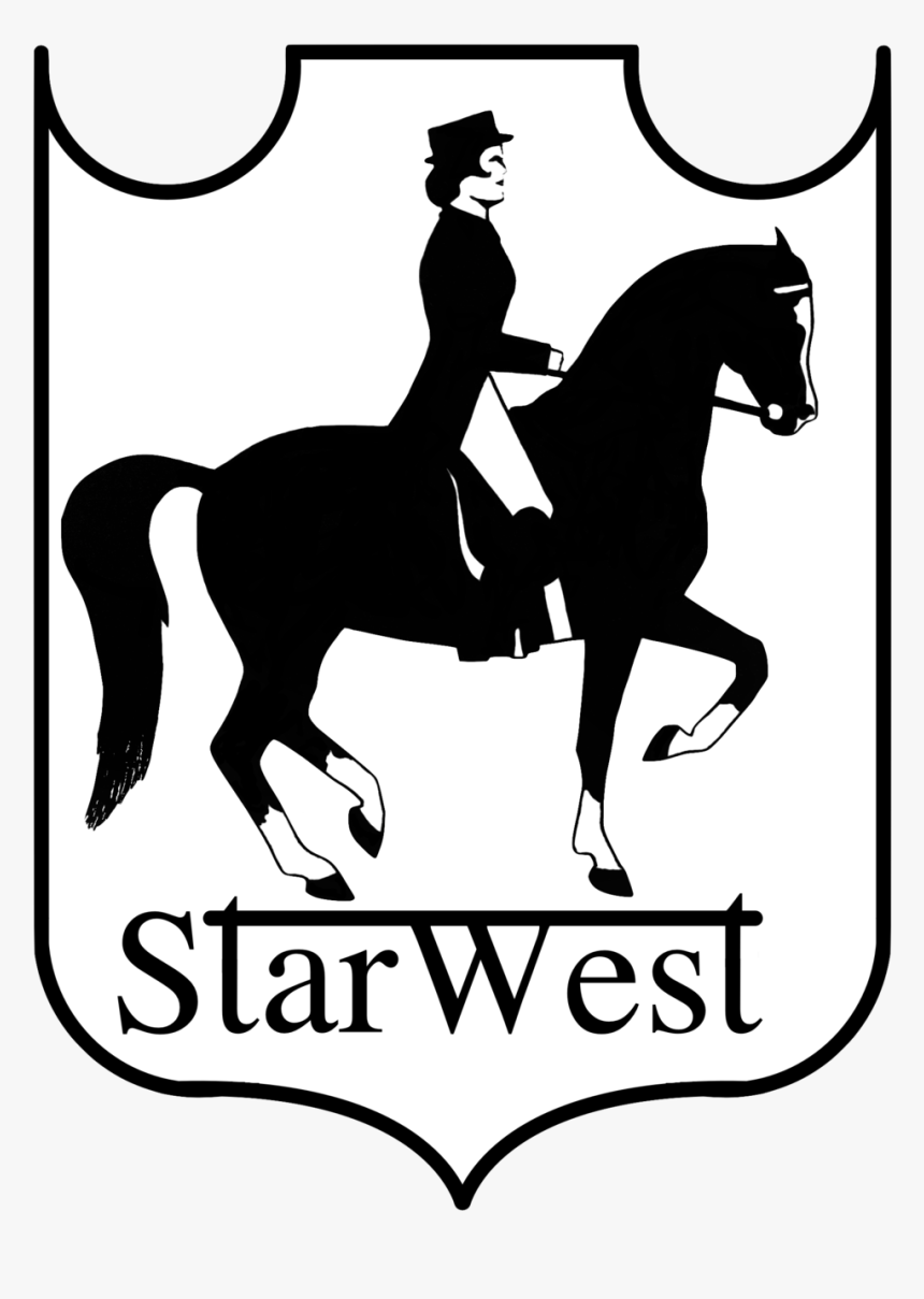 White Horse Png, Transparent Png