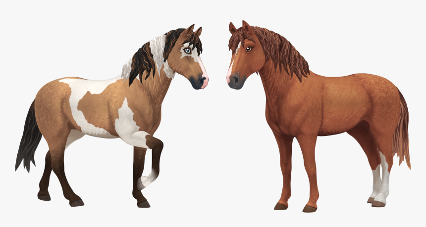 Star Stable Curly Horse, HD Png Download