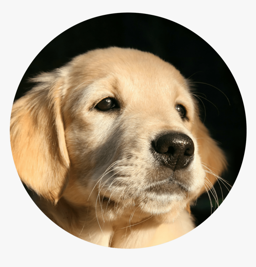 Kabhi Kabhi Lagta Hai Apun Hi Good Boy Hai, HD Png Download