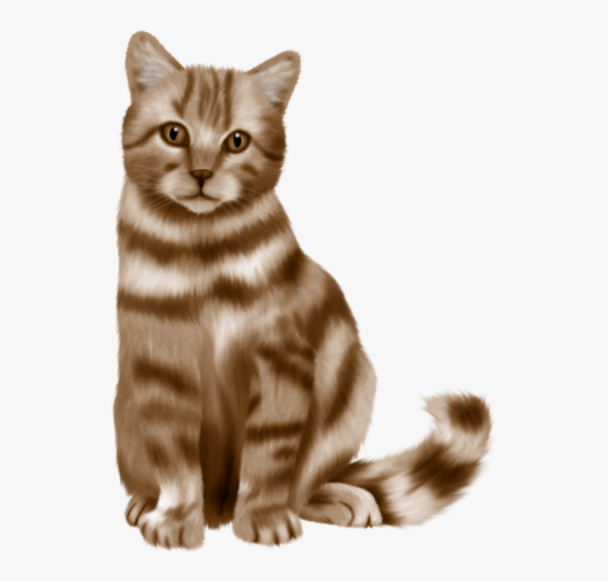 Cute Cat Png Picture - Cat, Transparent Png