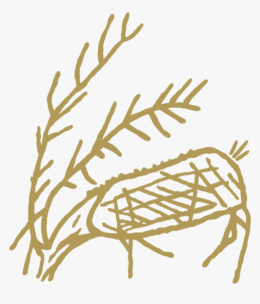 Caribou Logo - Illustration, HD Png Download