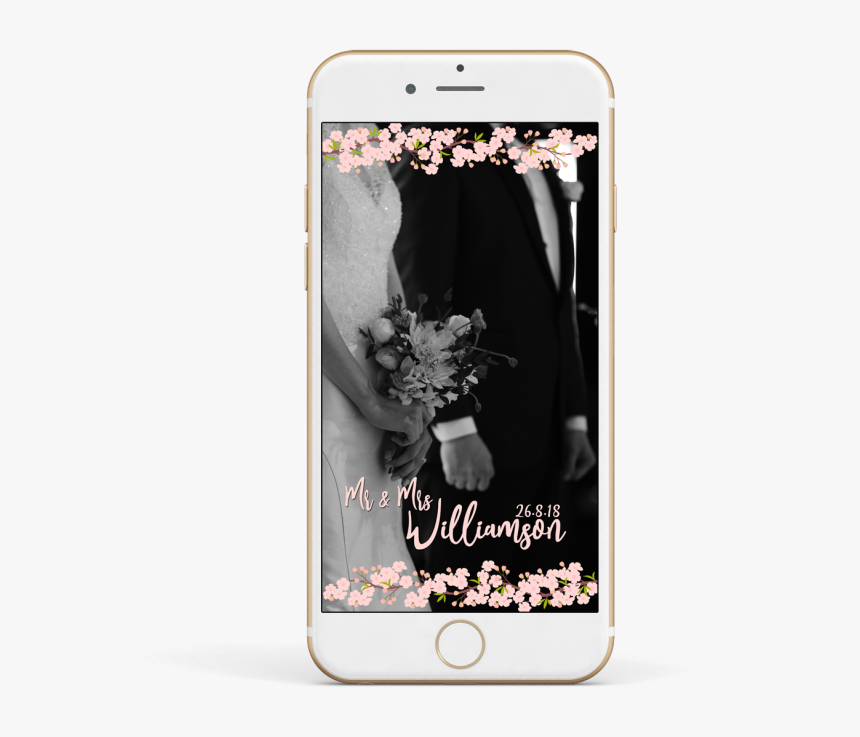 Cherry Blossom Branch Png, Transparent Png , Png Download - Iphone, Png Download
