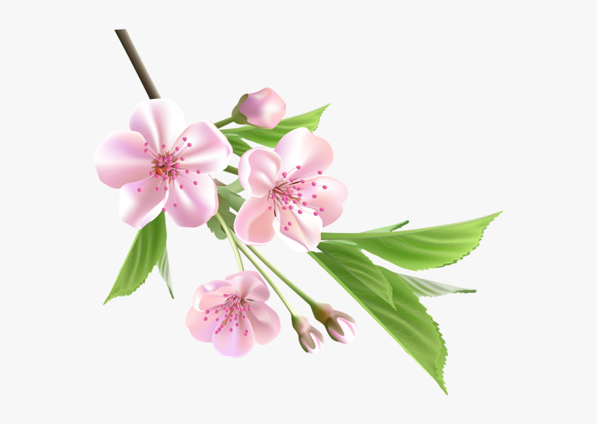 Gallery Png - Transparent Spring Flowers Png, Png Download