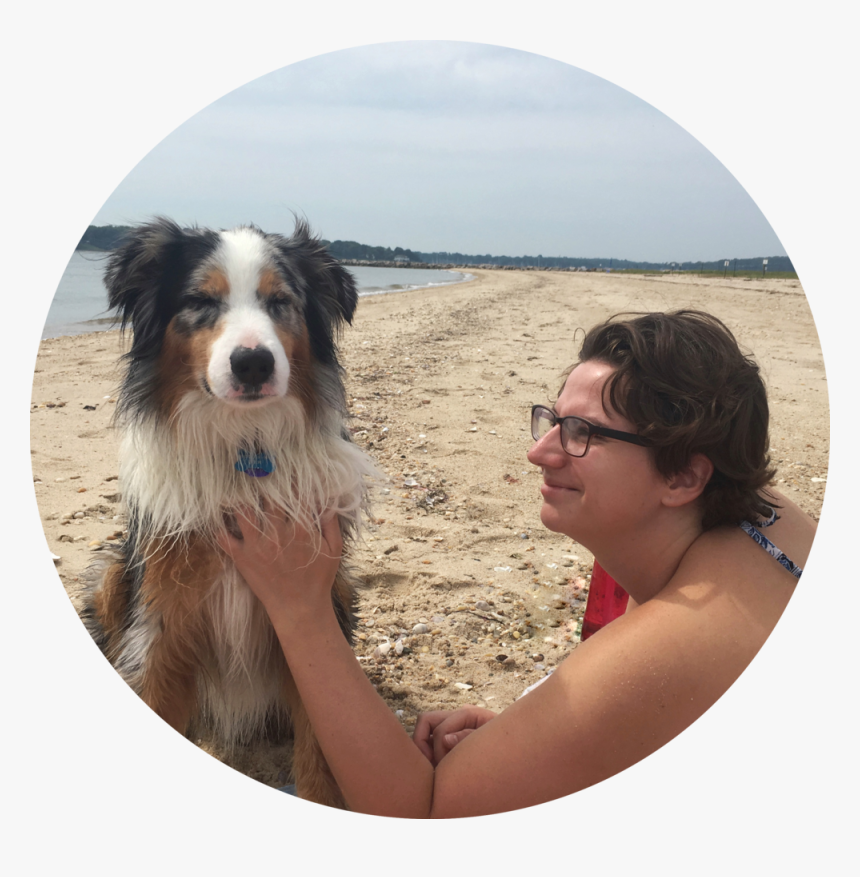 Dog Catches Something, HD Png Download