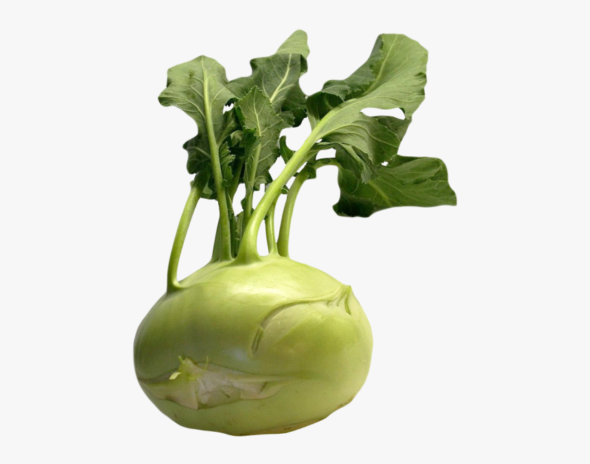 Kohlrabi Png, Transparent Png