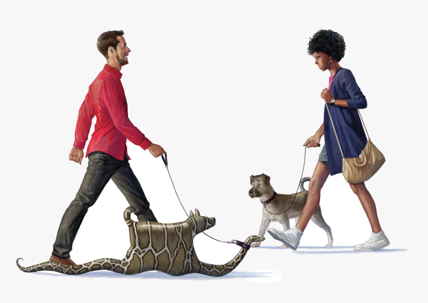 Factors That Up The Chances An Exotic Pet Gets Released - Exotic Pets, HD Png Download