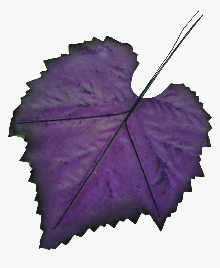 Hand-painted Leaf Png Transparent - Purple Autumn Leaves Png, Png Download