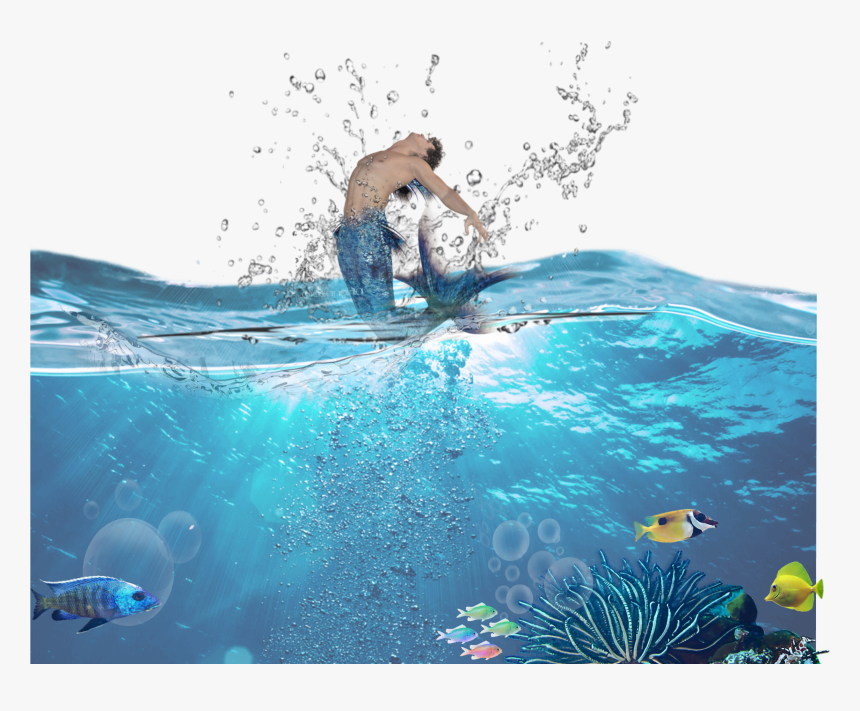 Transparent Wakeboarding Clipart - Underwater, HD Png Download