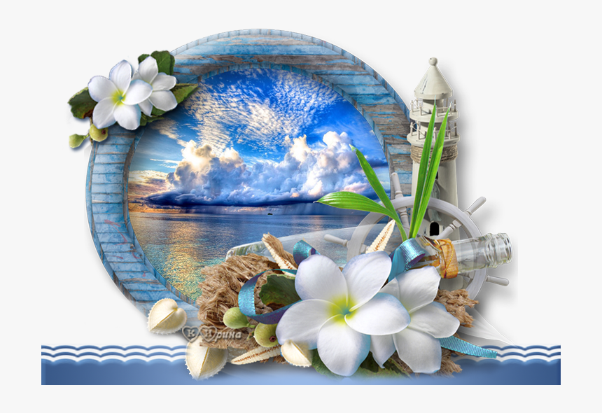 Jasmine, HD Png Download