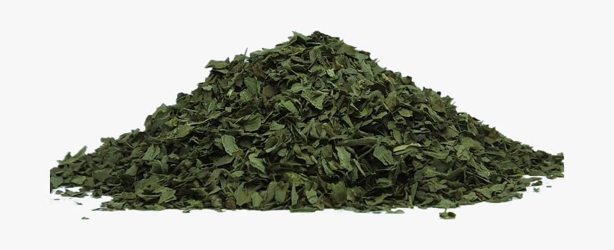 Green Tea - Dried Tea Leaves Png, Transparent Png