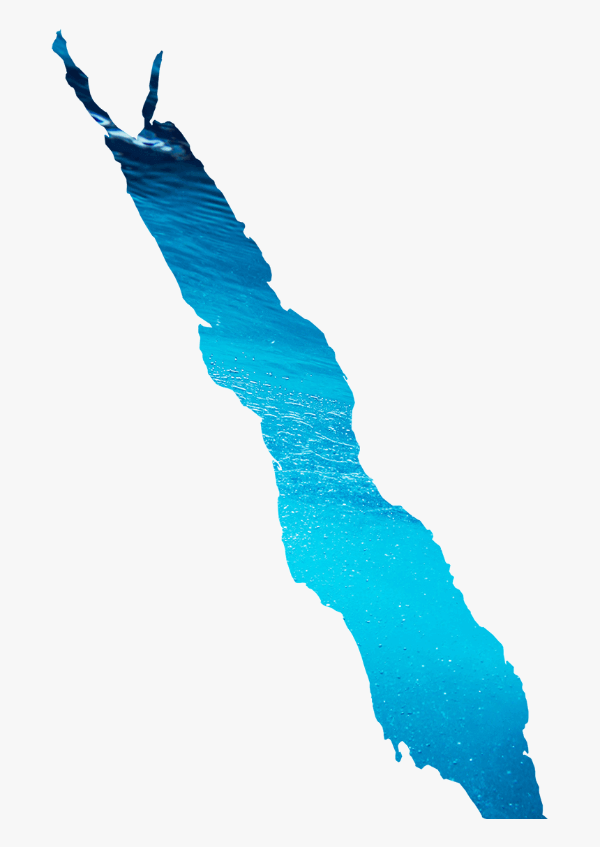 Necklace, HD Png Download