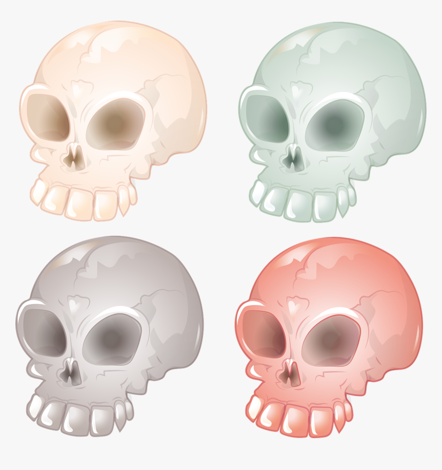 Skull And Crossbones Skull Bone Free Photo - Skull, HD Png Download