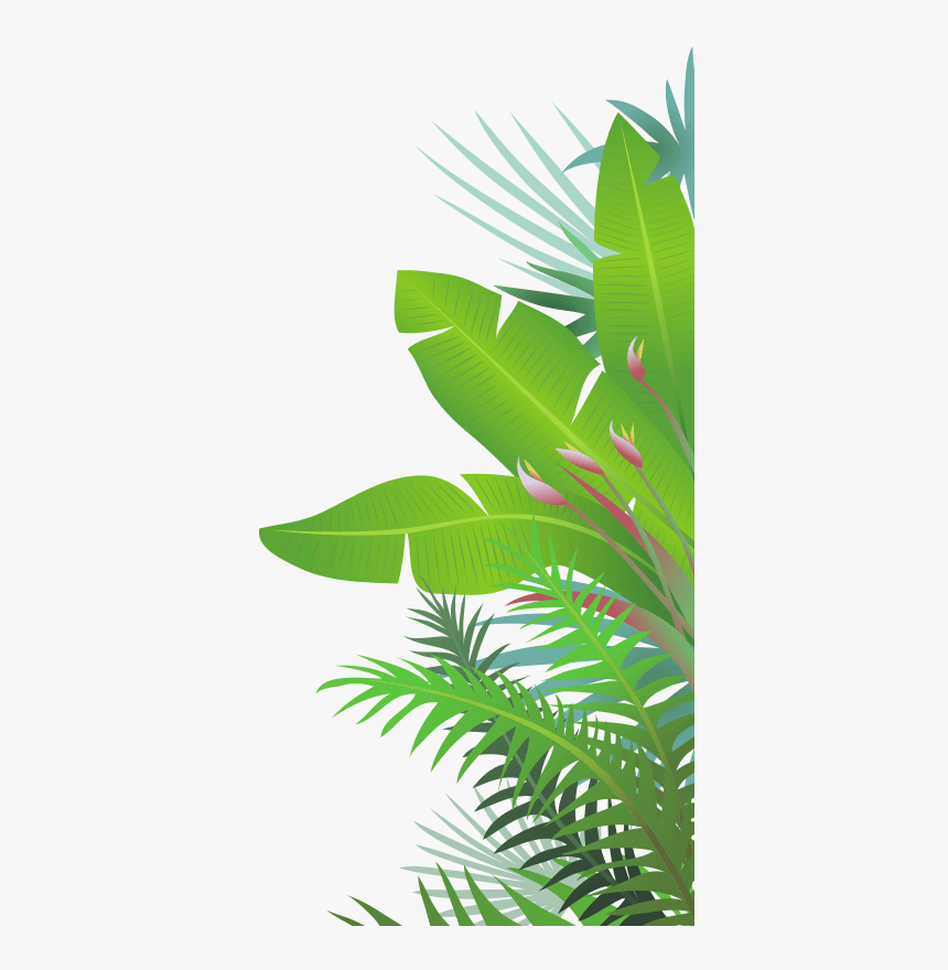 Jungle Leaf Png, Transparent Png