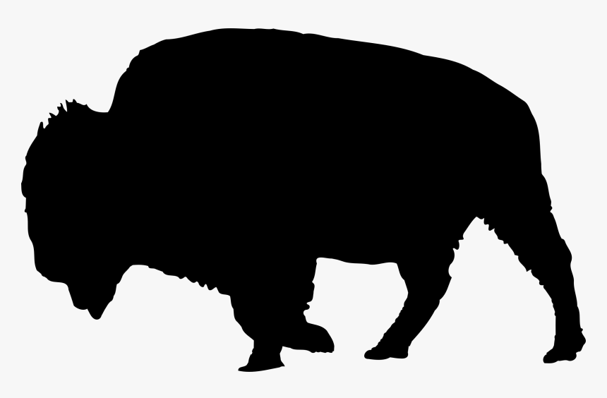 Bison Clipart Silhouette - Clipart Buffalo Silhouette, HD Png Download