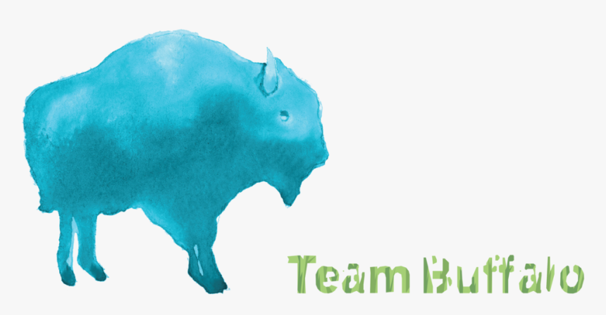 Buffalo Png, Transparent Png