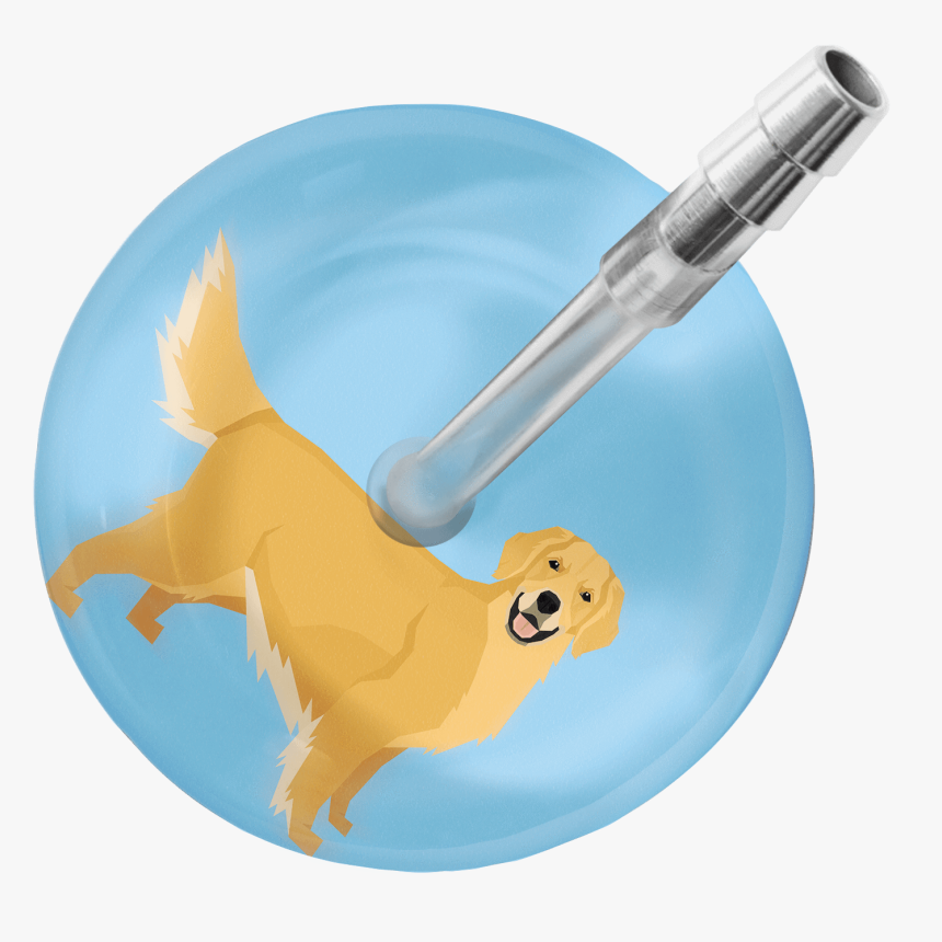 Stethoscope, HD Png Download