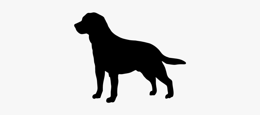 Labrador Retriever Golden Retriever Beagle Clip Art - Labrador Retriever Silhouette, HD Png Download