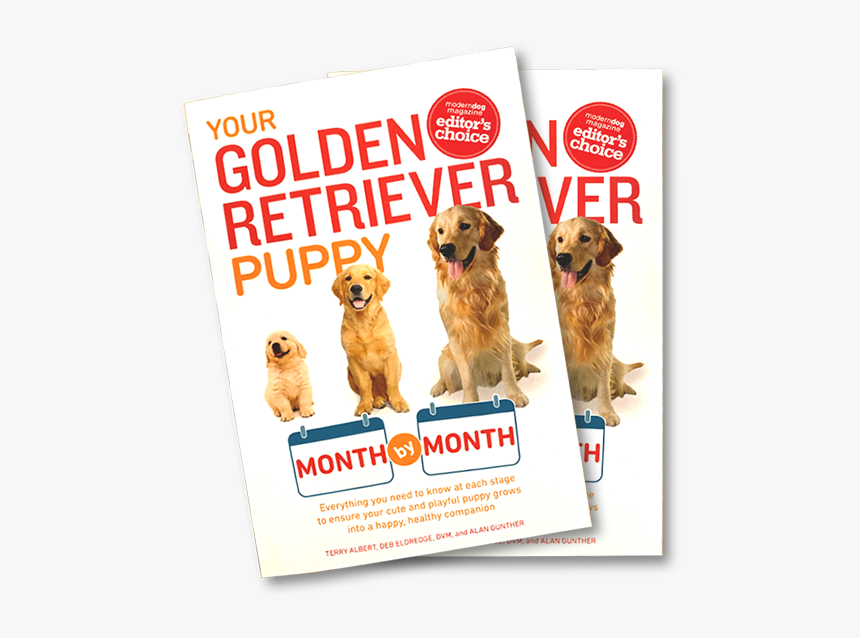 Golden Retriever, HD Png Download