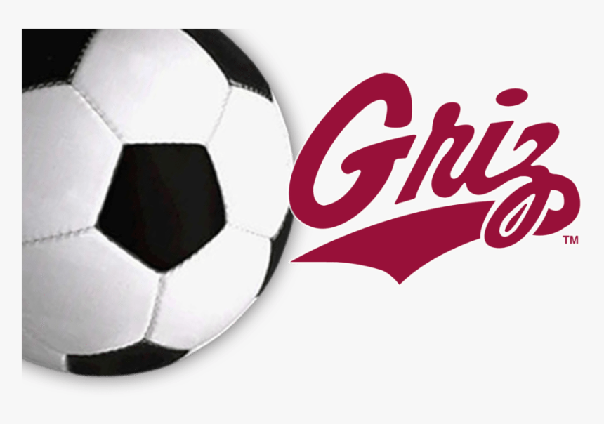 Montana Grizzlies, HD Png Download