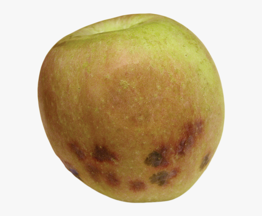 Apple, HD Png Download