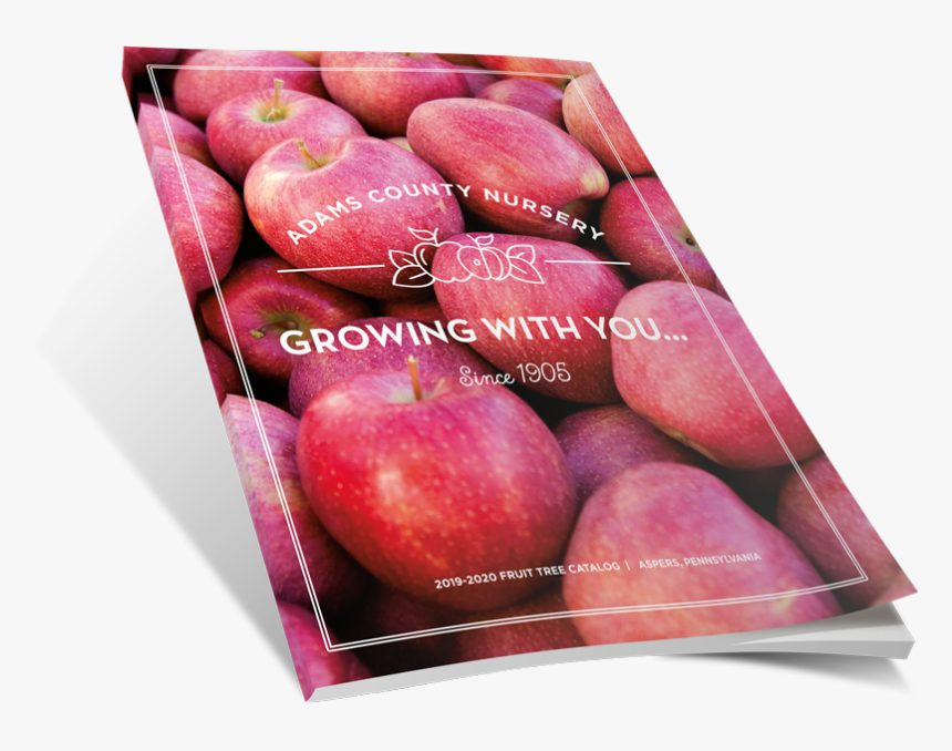 Pluot, HD Png Download