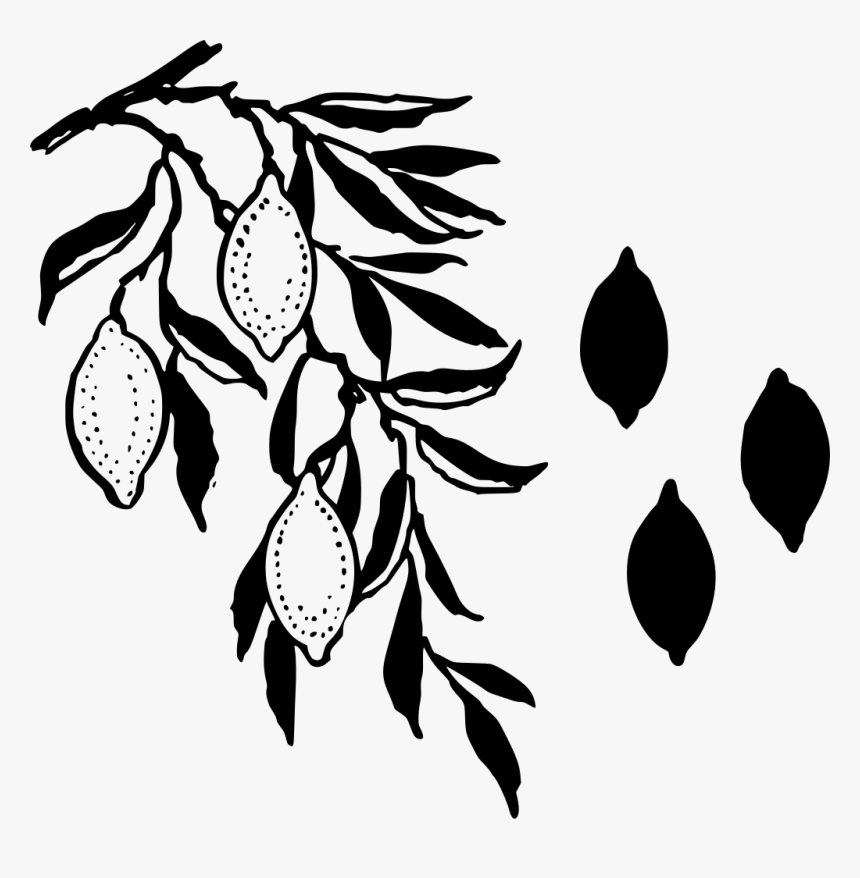 Limoncello Stencil, HD Png Download