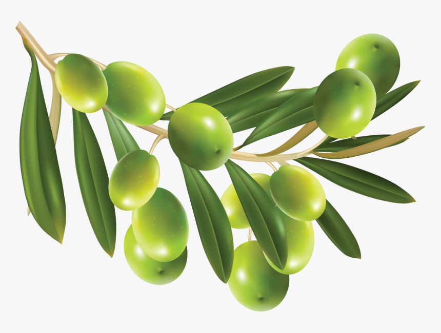 Olives Png Image - Olives Png, Transparent Png